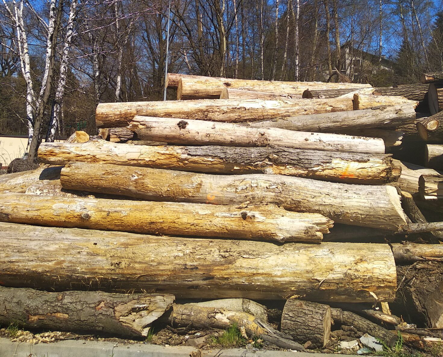 Sprzedaż drewna w okresie od 15.12.2025 r. do 31.12.2025